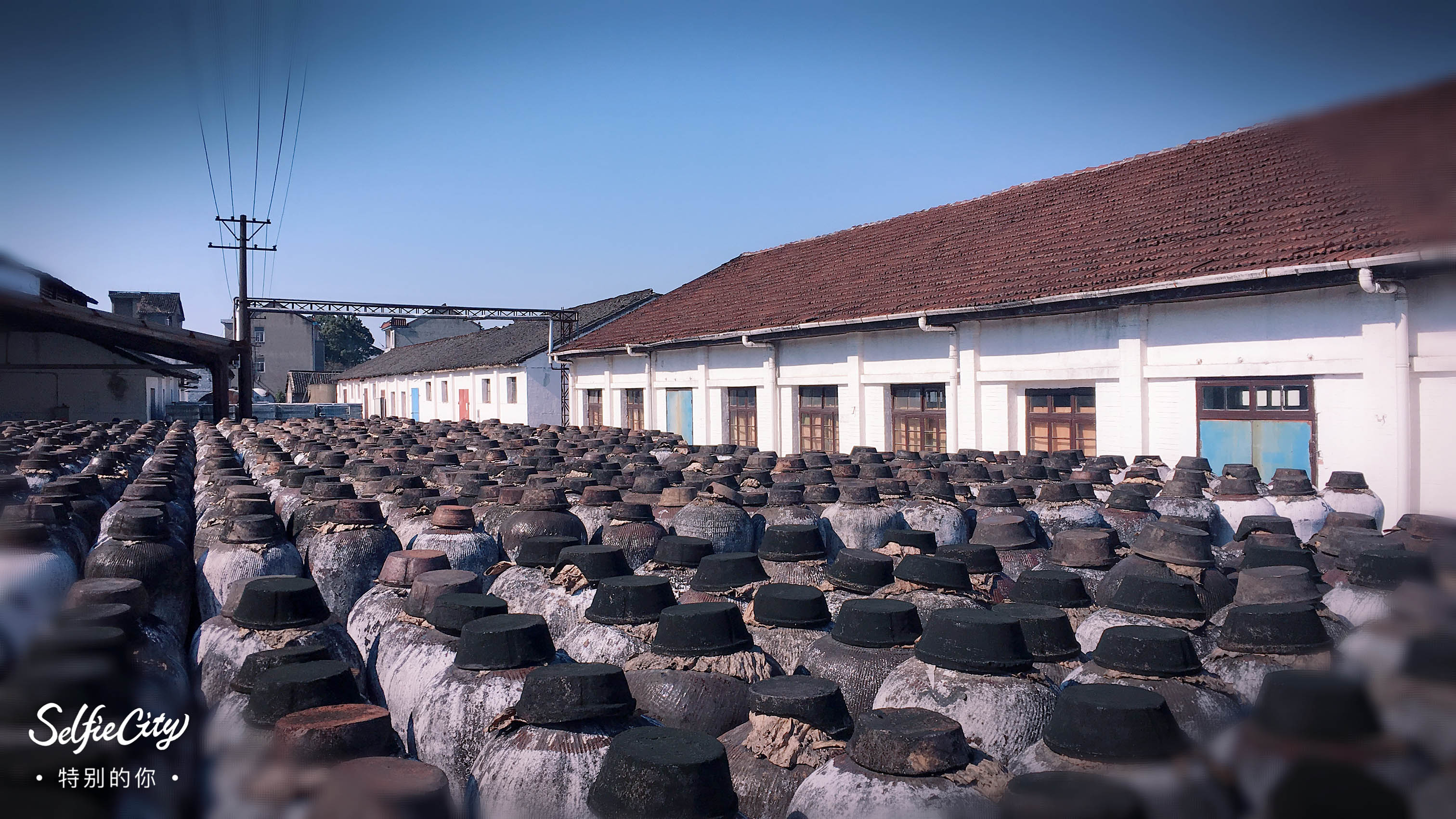 1584430618218852.jpg 3.jpg